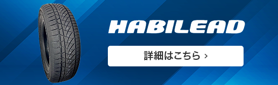 HABILEAD S2000