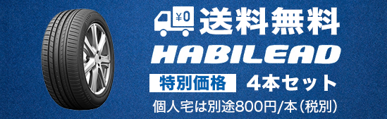 HABILEAD S3000